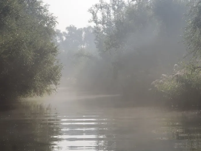 Gerahmter Druck : Biesbosch Creek Gerahmter Druck : Biesbosch Creek
