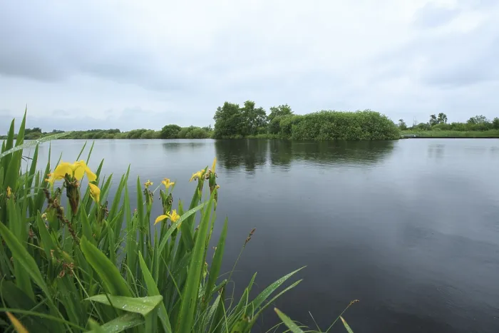 Gerahmter Druck : De Deelen. Natuurgebied De Deelen, Naturreservat De Deelen Gerahmter Druck : De Deelen. Natuurgebied De Deelen, Naturreservat De Deelen