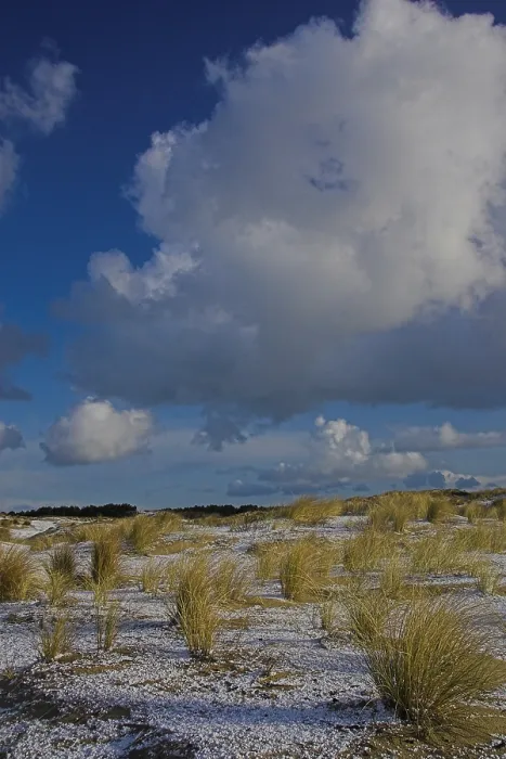 Gerahmter Druck : Duinen, Dünen Gerahmter Druck : Duinen, Dünen