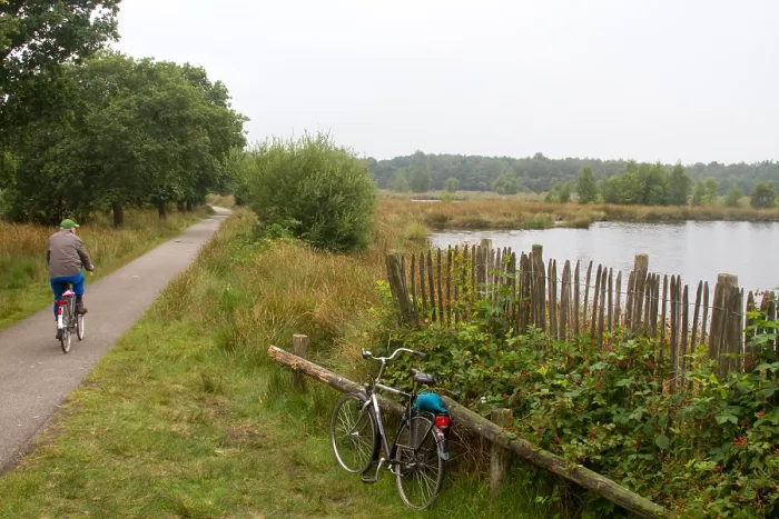 Gerahmter Druck : Dwingelooerveld, Niederlande Gerahmter Druck : Dwingelooerveld, Niederlande