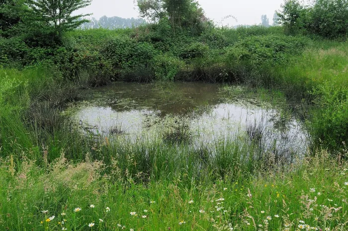 Gerahmter Druck : en in de Doort Gerahmter Druck : en in de Doort