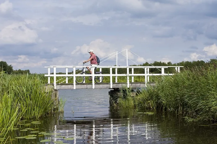 Gerahmter Druck : Radfahrer. Alter radelt über Brücke in Weerribben; Alter fährt Fahrrad