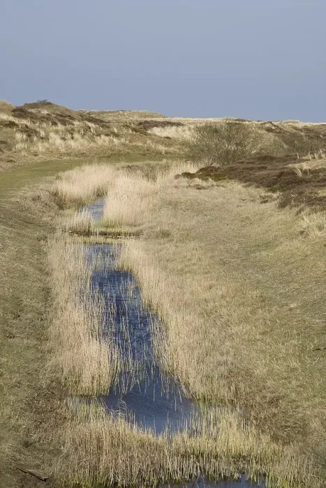 Gerahmter Druck : De Geul, Texel Gerahmter Druck : De Geul, Texel