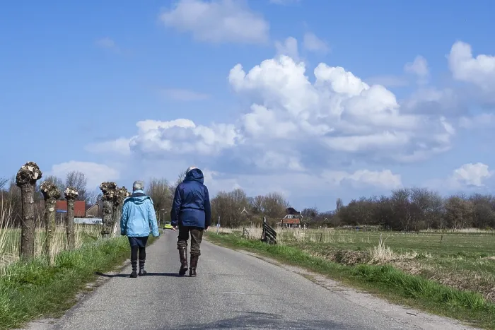 Gerahmter Druck : Wanderer am Westerlanderkoog Gerahmter Druck : Wanderer am Westerlanderkoog