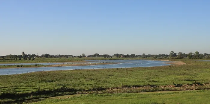Gerahmter Druck : IJssel. Vögel in der Vreugderijkerwaard; Vögel in Vreugderijkerwaard Gerahmter Druck : IJssel. Vögel in der Vreugderijkerwaard; Vögel in Vreugderijkerwaard