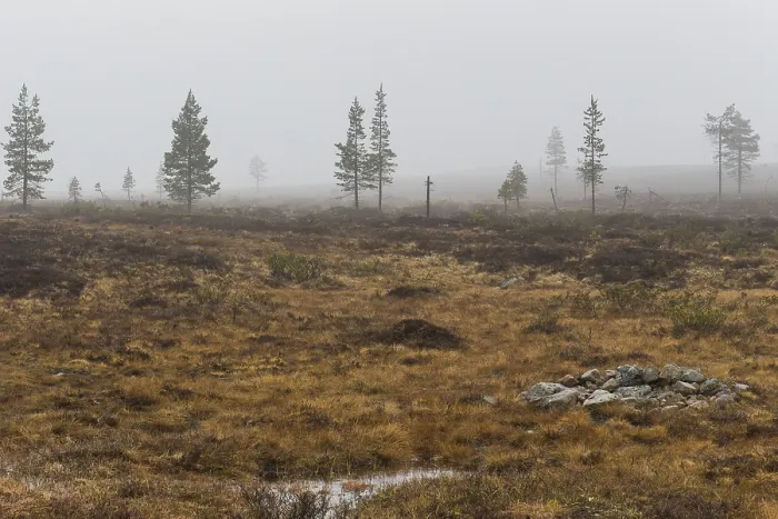 Gerahmter Druck : Kaunispään Landschaft Gerahmter Druck : Kaunispään Landschaft
