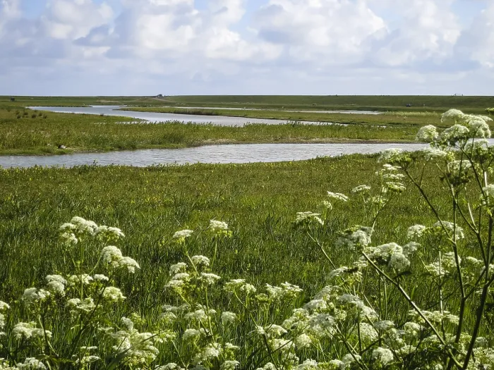 Gerahmter Druck : Landschaft bei Texel Gerahmter Druck : Landschaft bei Texel