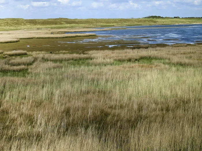 Gerahmter Druck : Landschaft auf Texel Gerahmter Druck : Landschaft auf Texel