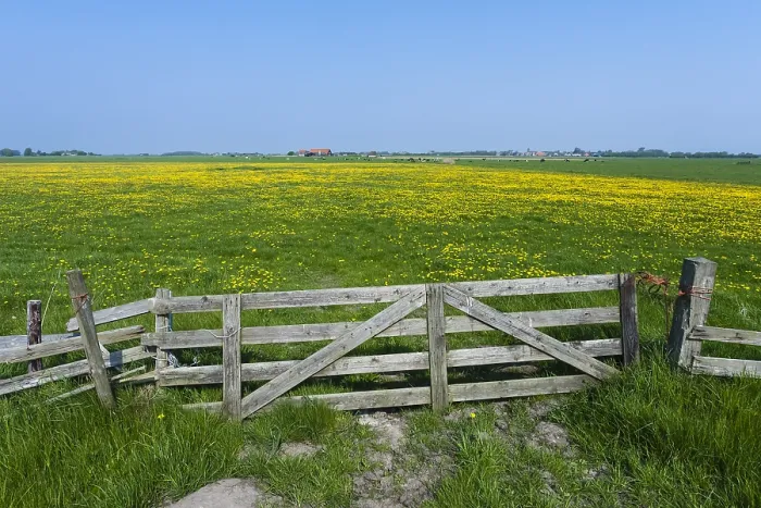 Gerahmter Druck : Landschaft bei Texel Gerahmter Druck : Landschaft bei Texel