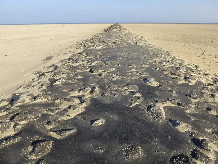 Gerahmter Druck : Landschaft auf Texel Gerahmter Druck : Landschaft auf Texel