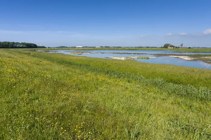 Gerahmter Druck : Landschaft bei Texel Gerahmter Druck : Landschaft bei Texel