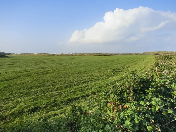 Gerahmter Druck : Landschaft auf Texel Gerahmter Druck : Landschaft auf Texel