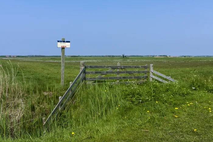Gerahmter Druck : Landschaft auf Texel Gerahmter Druck : Landschaft auf Texel