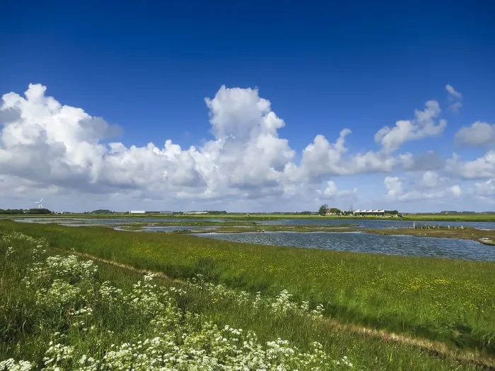 Gerahmter Druck : Landschaft auf Texel Gerahmter Druck : Landschaft auf Texel
