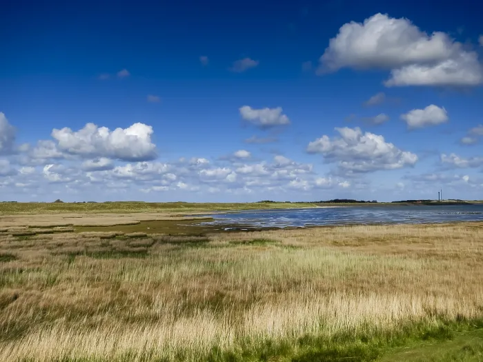 Gerahmter Druck : Landschaft auf Texel Gerahmter Druck : Landschaft auf Texel