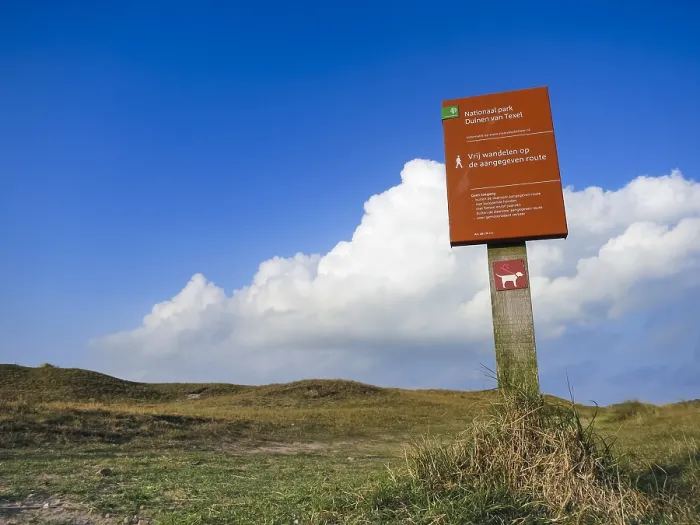 Gerahmter Druck : Landschaft auf Texel Gerahmter Druck : Landschaft auf Texel