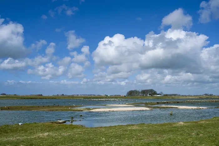 Gerahmter Druck : Landschaft bei Texel Gerahmter Druck : Landschaft bei Texel