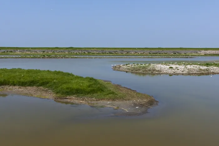 Gerahmter Druck : Landschaft auf Texel Gerahmter Druck : Landschaft auf Texel