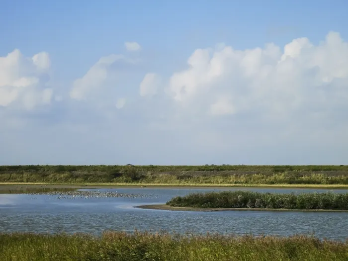 Gerahmter Druck : Landschaft auf Texel Gerahmter Druck : Landschaft auf Texel