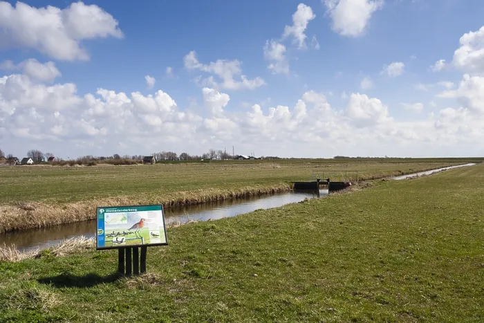 Gerahmter Druck : Landschaft am Westerlanderkoog Gerahmter Druck : Landschaft am Westerlanderkoog