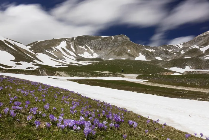 Gerahmter Druck : Berglandschaft Gerahmter Druck : Berglandschaft