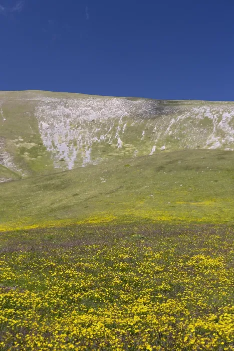 Gerahmter Druck : Berglandschaft