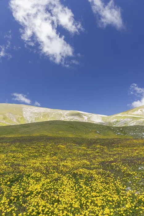 Gerahmter Druck : Berglandschaft