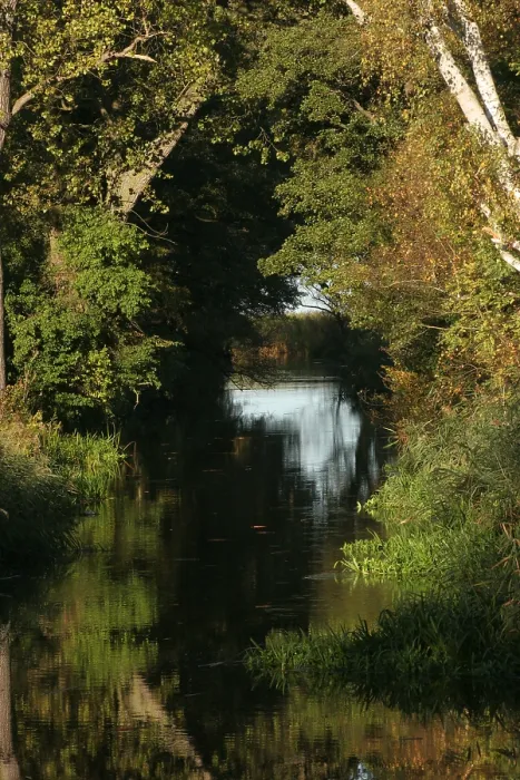 Gerahmter Druck : Oderdelta, Oderdelta Gerahmter Druck : Oderdelta, Oderdelta
