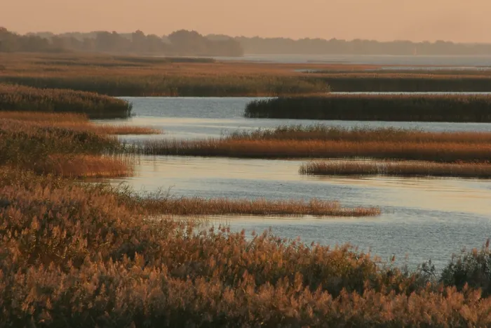 Gerahmter Druck : Oderdelta, Oderdelta Gerahmter Druck : Oderdelta, Oderdelta