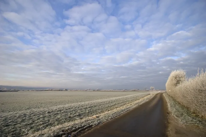 Gerahmter Druck : Ooijpolder Gerahmter Druck : Ooijpolder