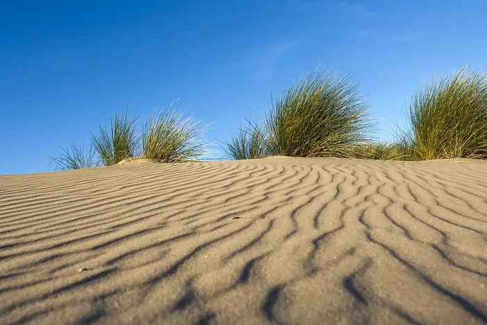 Gerahmter Druck : Muster im Sand. Gerahmter Druck : Muster im Sand.