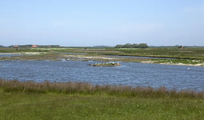 Gerahmter Druck : De Pette van Texel Gerahmter Druck : De Pette van Texel