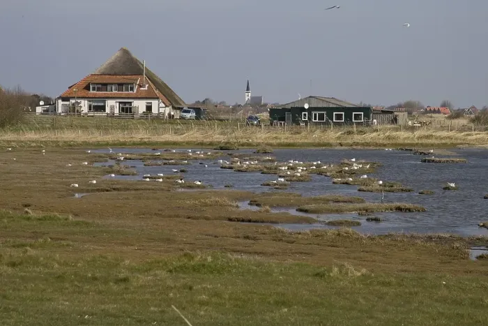 Gerahmter Druck : De Putten, Texel Gerahmter Druck : De Putten, Texel