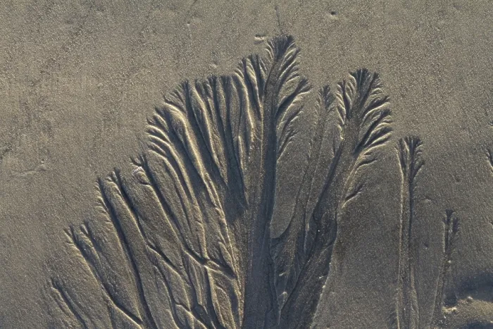 Gerahmter Druck : Sandhintergrundtextur