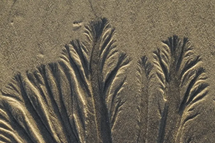 Gerahmter Druck : Sand-Hintergrund-Textur Gerahmter Druck : Sand-Hintergrund-Textur