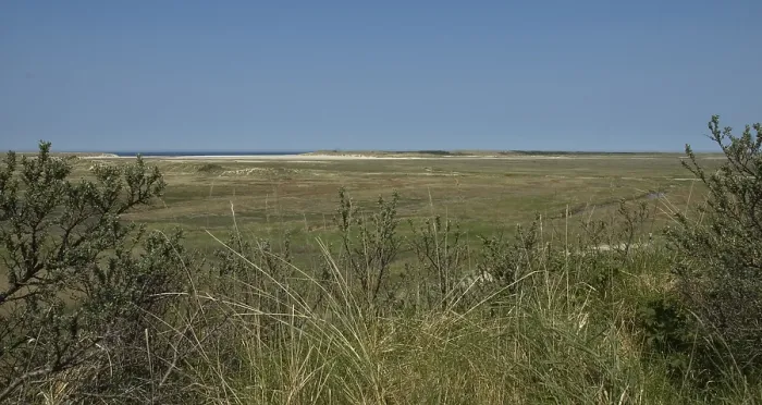 Gerahmter Druck : Slufter. Die Slufter auf Texel; Die Slufter auf Texel Gerahmter Druck : Slufter. Die Slufter auf Texel; Die Slufter auf Texel