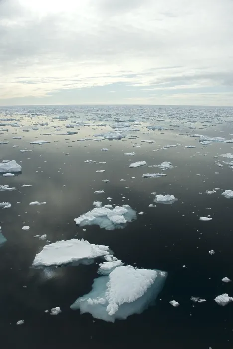 Gerahmter Druck : Spitsbergen Gerahmter Druck : Spitsbergen