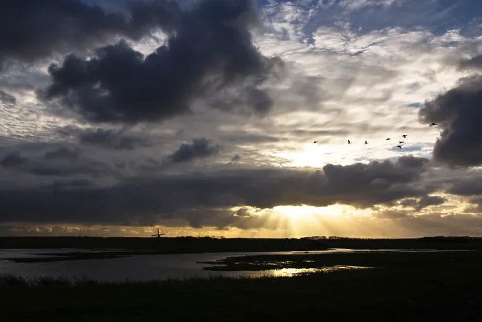 Gerahmter Druck : Texel, Texel