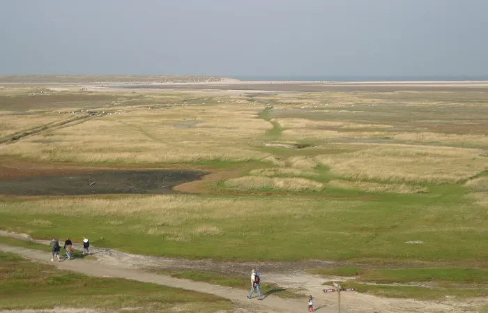 Gerahmter Druck : Texel, Texel Gerahmter Druck : Texel, Texel
