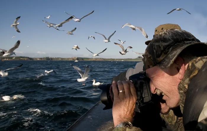Gerahmter Druck : Vogelaar, Vogelbeobachter Gerahmter Druck : Vogelaar, Vogelbeobachter