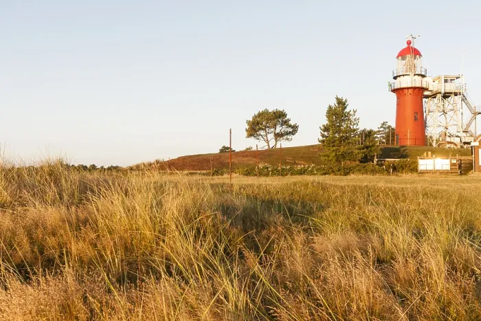 Gerahmter Druck : Leuchtturm Gerahmter Druck : Leuchtturm