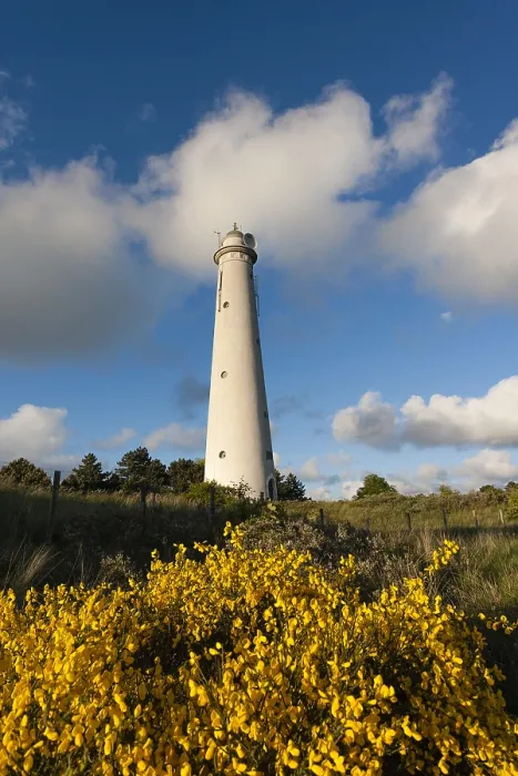 Gerahmter Druck : Leuchtturm Gerahmter Druck : Leuchtturm