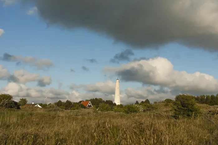 Gerahmter Druck : Leuchtturm Gerahmter Druck : Leuchtturm