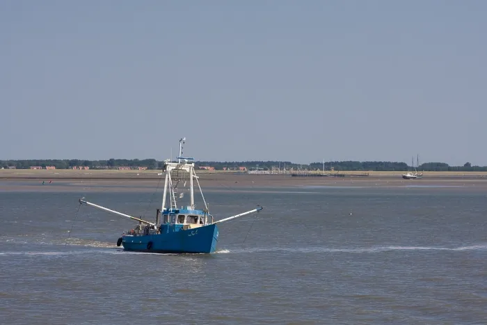 Gerahmter Druck : Waddenzee, Schiermonnikoog Gerahmter Druck : Waddenzee, Schiermonnikoog