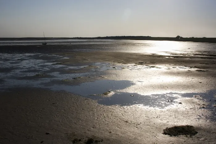 Gerahmter Druck : Waddenzee, Schiermonnikoog Gerahmter Druck : Waddenzee, Schiermonnikoog