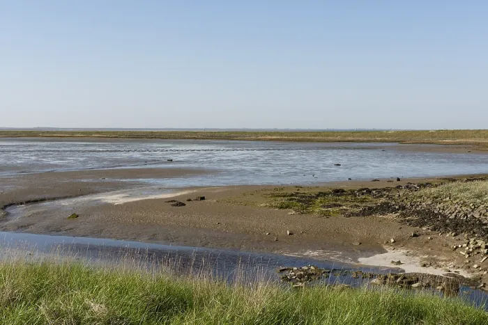 Gerahmter Druck : Waddenzee, Wattenmeer