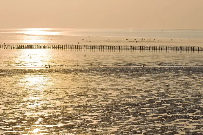 Gerahmter Druck : Waddenzee, Waddensee Gerahmter Druck : Waddenzee, Waddensee