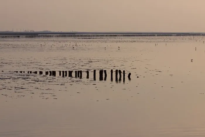 Gerahmter Druck : Waddenzee, Waddensea Gerahmter Druck : Waddenzee, Waddensea