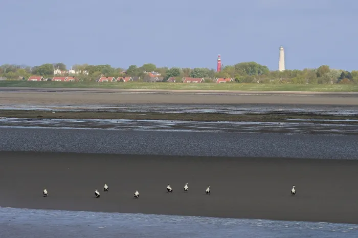 Gerahmter Druck : Waddenzee, Waddensea Gerahmter Druck : Waddenzee, Waddensea