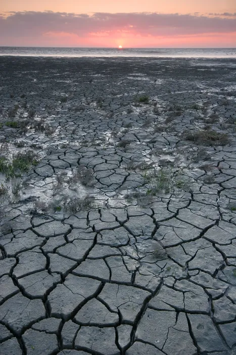Gerahmter Druck : Waddenzee, Waddensea
